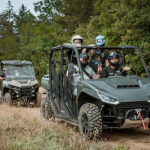 тиймбилдинг