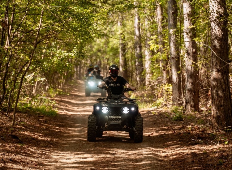 A quadcopter ride through forest trails in Bulgaria.